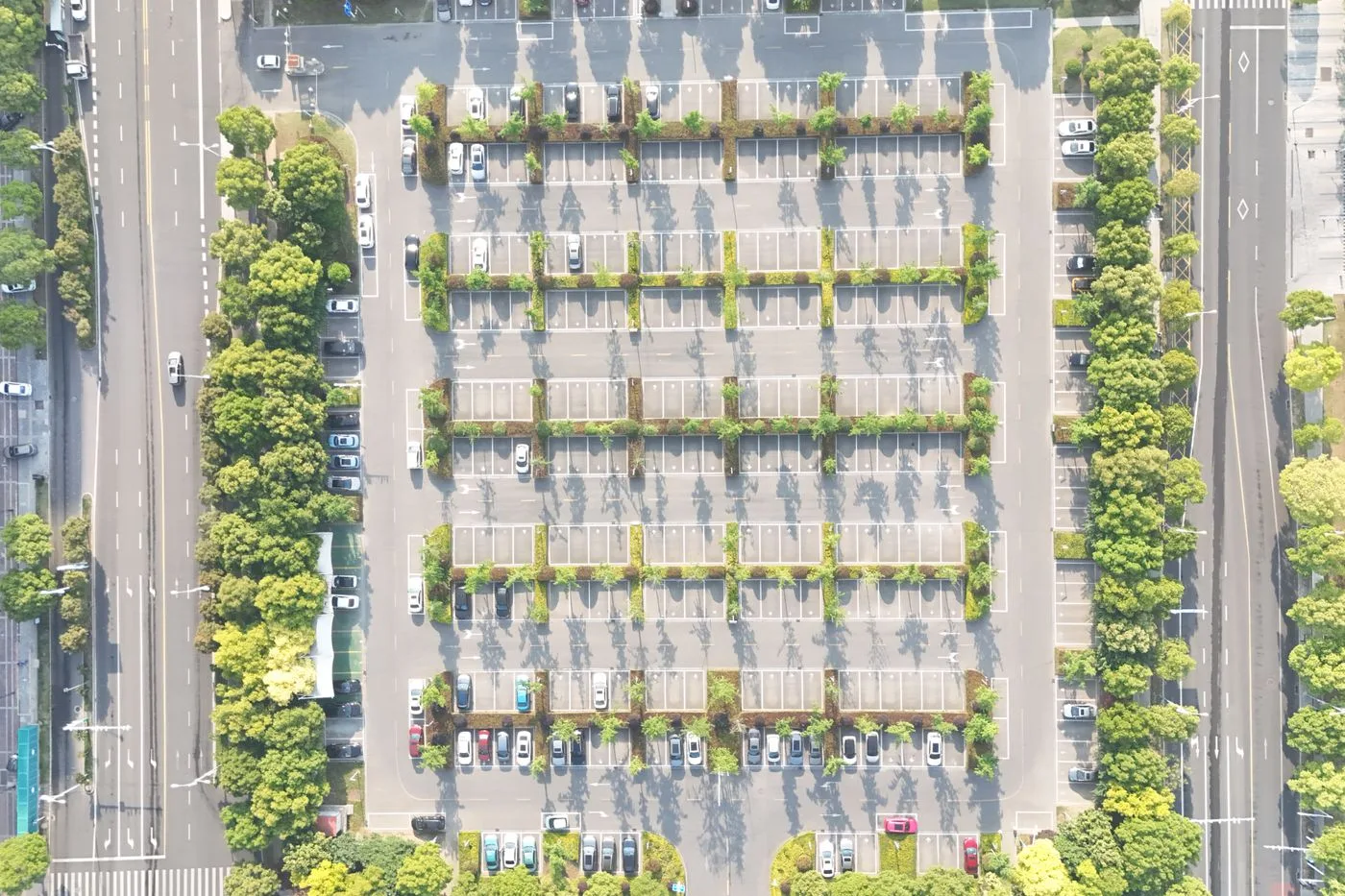 屋外の駐車場に並んで停まっている車