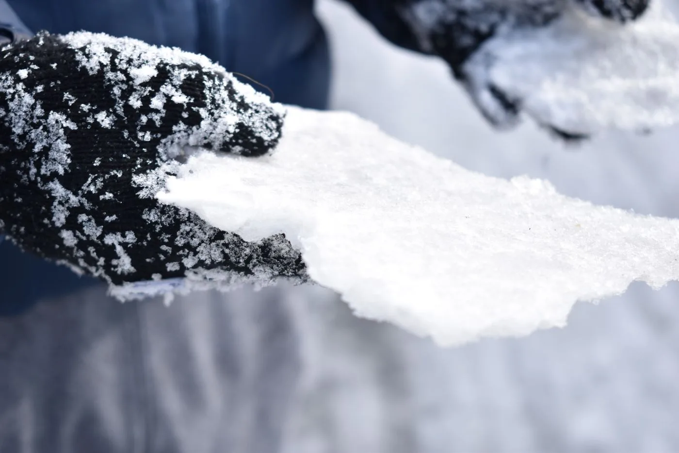 手袋をした手で雪をすくう手元