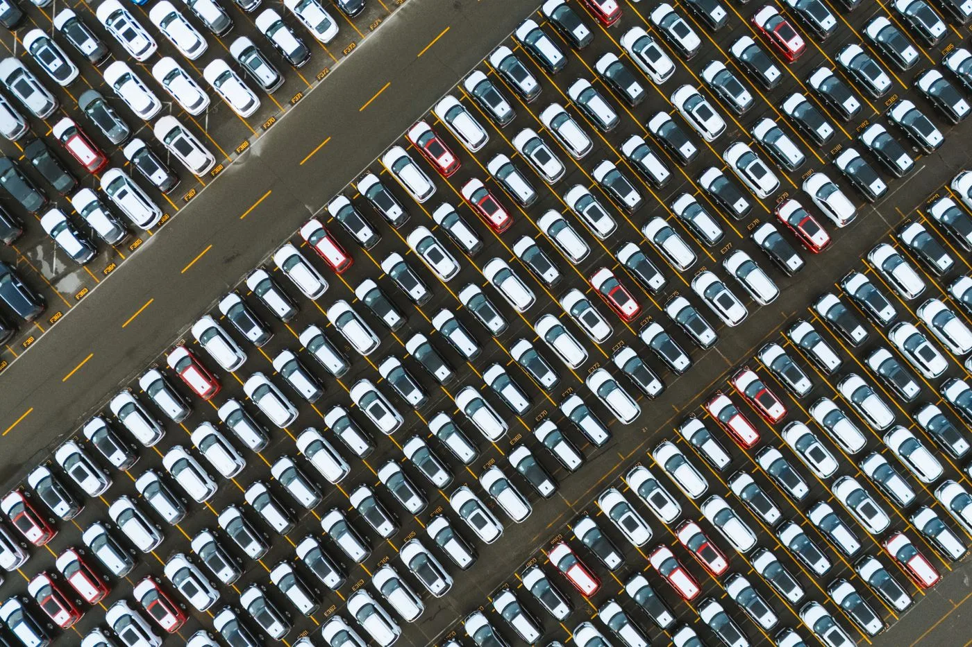 駐車場に並んで停まっている車